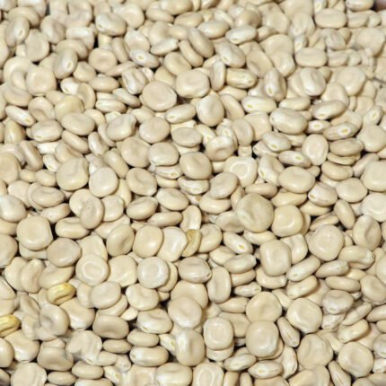 ترمس